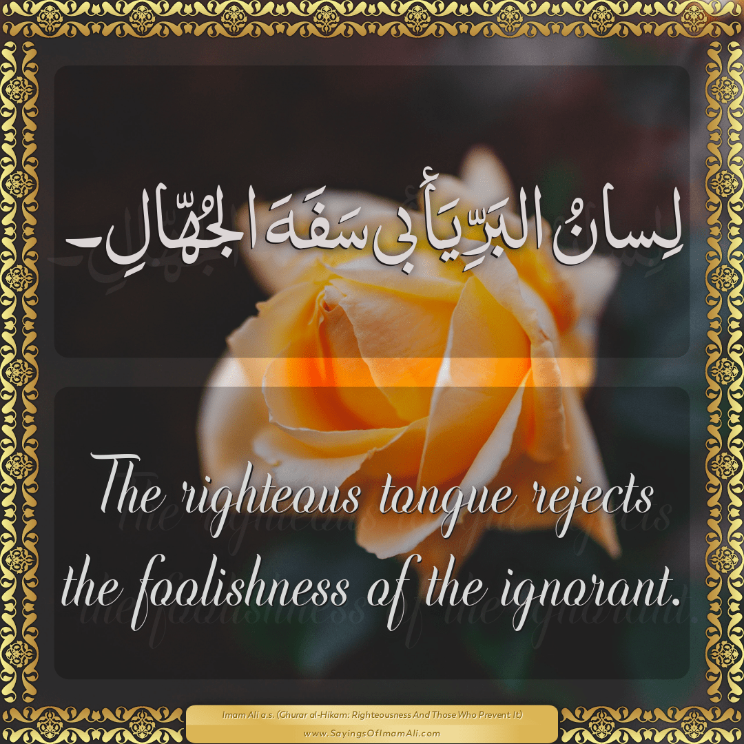 The righteous tongue rejects the foolishness of the ignorant.